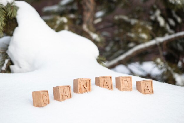 The word Canada is made up of wooden cubes on the background of a snowy forest. The concept of traveling to the Nordic countries, to Canada. Winter greeting card in retro style.