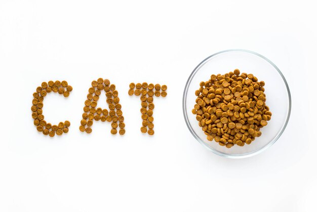 Word CAT mark made of dry food with full bowl Pet care and veterinary concept with letters