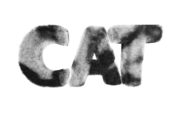 The word CAT very furry written in 3D on a white background