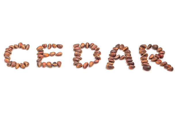 Word cedar spelled with pine nuts on white