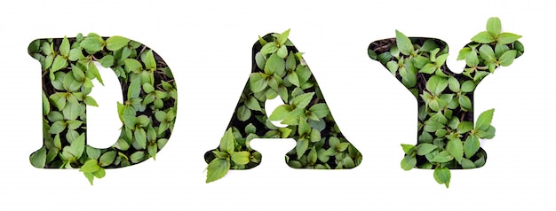 The word DAY of green leaves in a paper stencil