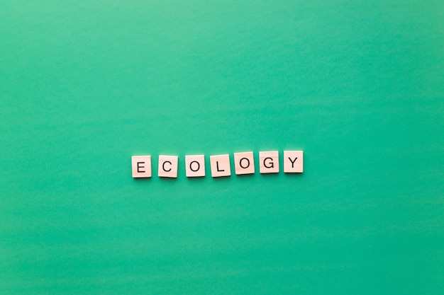 Word ecology from wooden letters on a green background Flatly eco