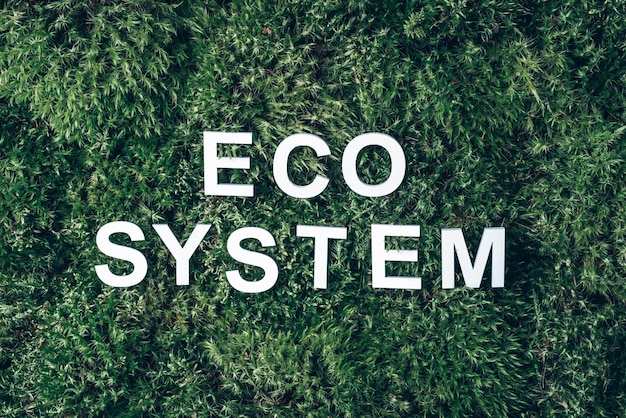 Word ecosystem on moss green grass background Top view Copy space Banner Biophilia concept Nature backdrop