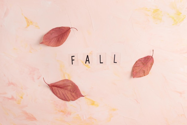 Word FALL and red fall leaves on pink background Autumn mood copy space