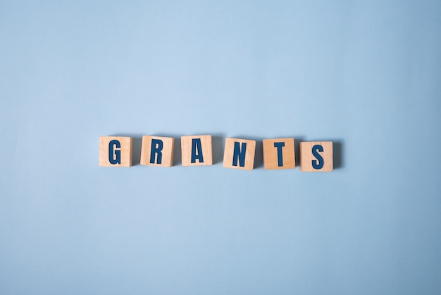 The word of GRANTS on building blocks concept on blue.