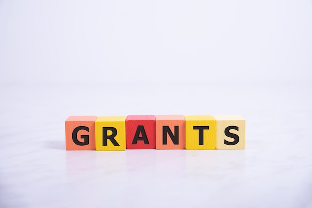 The word of GRANTS on building blocks concept.