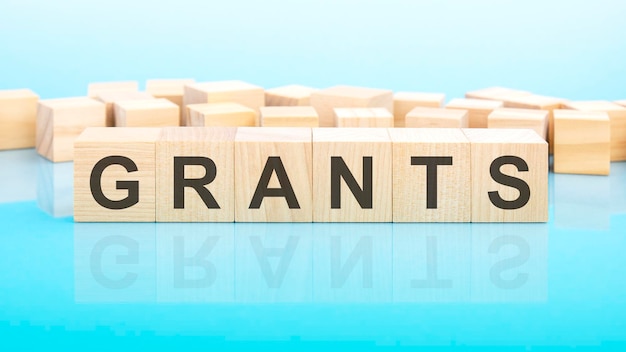 Word grants made with wood building blocks business concept