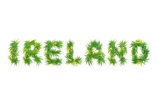 Foto word ireland realizzato con foglie di cannabis verdi su uno sfondo bianco isolato