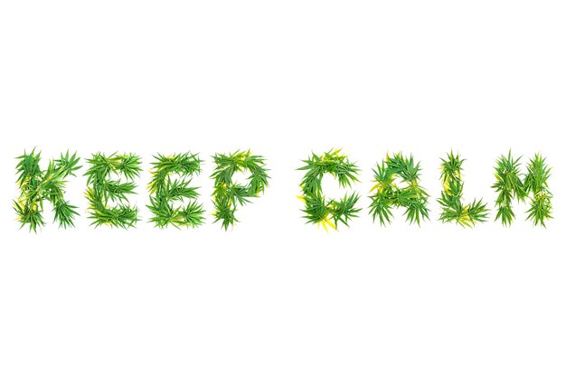 Foto word keep calm realizzato con foglie di cannabis verdi su uno sfondo bianco isolato