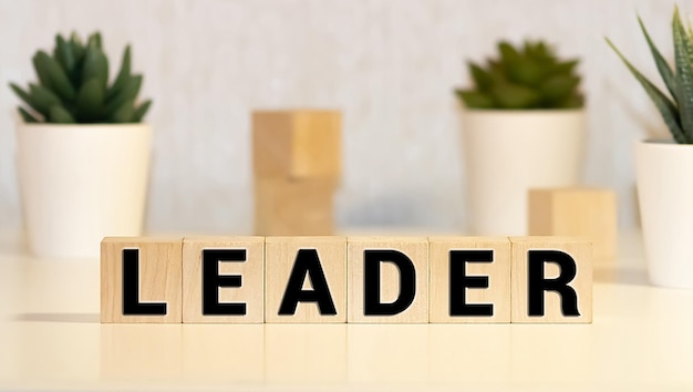 the word of LEADER on building blocks concept