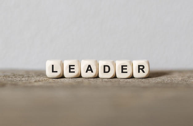 Photo word leader made with wood building blocks,stock image