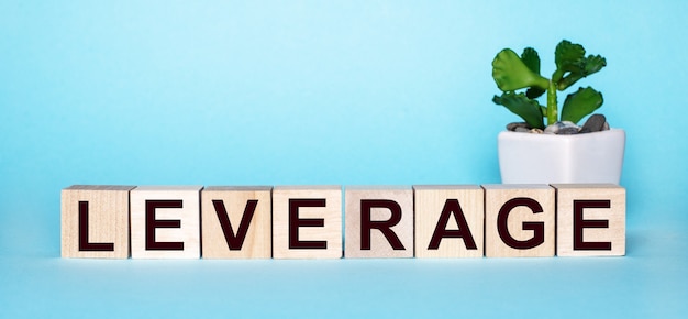 The word LEVERAGE is written on wooden cubes near a flower in a pot on a light blue surface