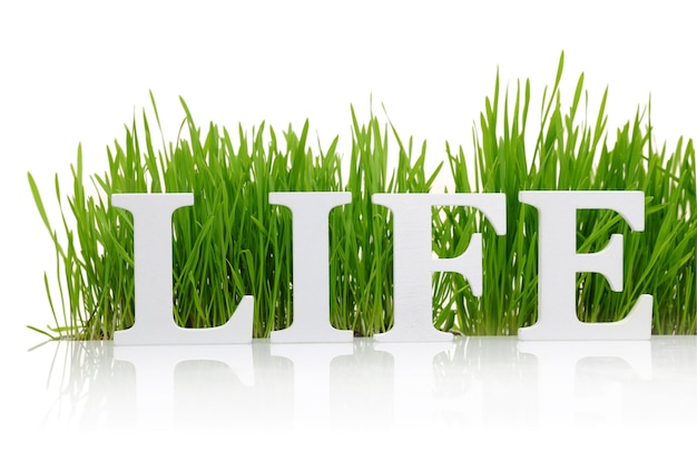 Word Life with fresh grass isolated on white