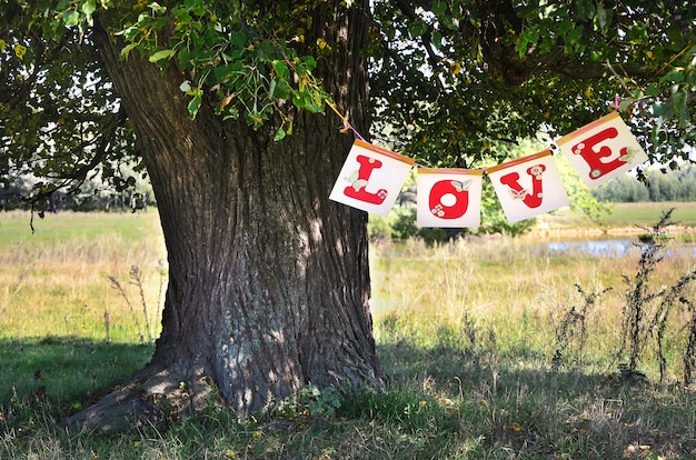 The word Love hanging on the tree