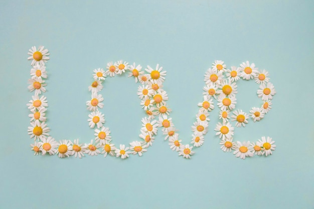 The word Love made by daisies on a blue background
