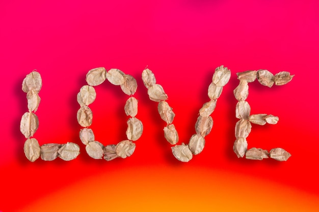 Word Love made with bougainville petals gradient colored background