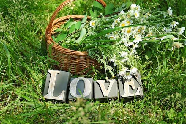 Word LOVE made of wooden letters in the basket with bouquet of daisy flowers