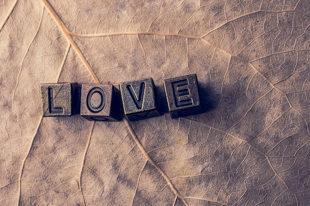 Photo the word love placed on dry leaf as love concept