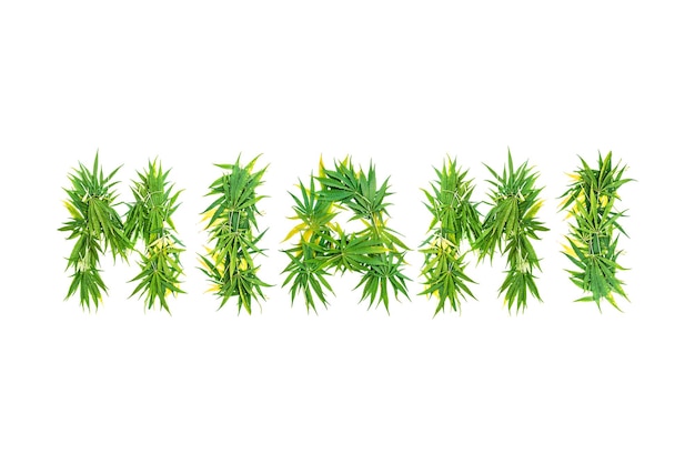 Фото Слово miami, сделанное из зеленых листьев каннабиса на белом фоне.