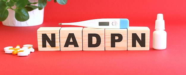 The word NADPH is made of wooden cubes on a red table. Medical concept.