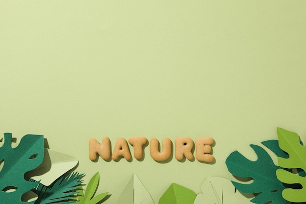 The word nature laid out from cookies on a green background