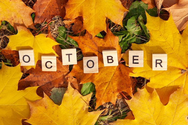 La parola ottobre è scritta in lettere di legno su uno sfondo di foglie cadute. concetto di autunno e concetto di calendario. copia spazio