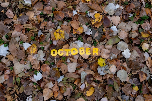 Word oktober van papier herfst achtergrond