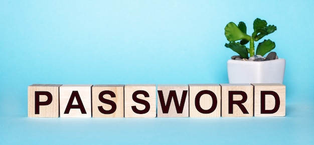 The word PASSWORD is written on wooden cubes near a flower in a pot on a light blue surface