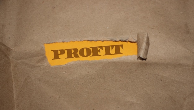 The word profit appearing behind torn brown paper