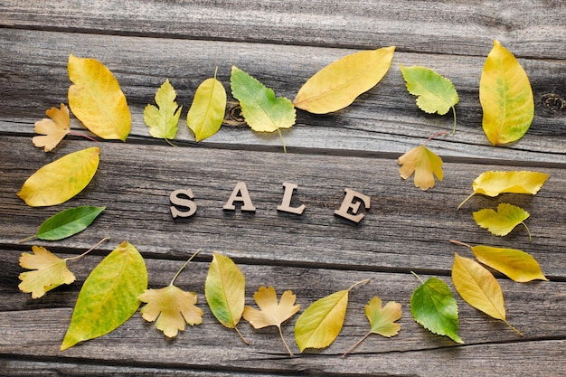 Word Sale on a wooden background frame of yellow leaves