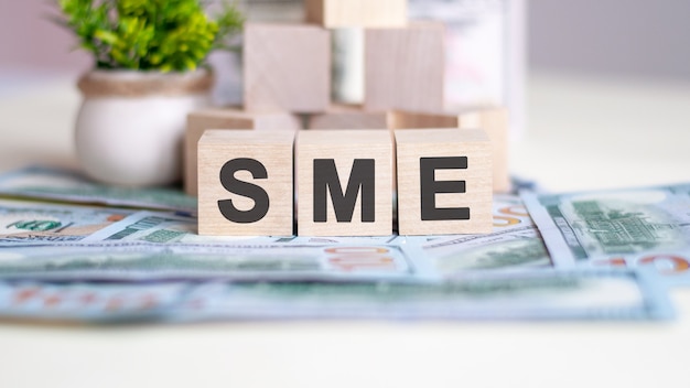 Word SME is written on wooden cubes. the cubes are located on the banknotes lying on the table. in the background a green plant in a pot. SME - short for Small and Medium Enterprises