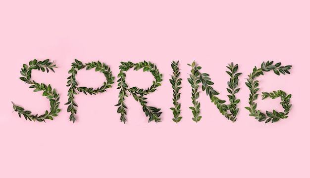 Foto la parola primavera dai rami verdi su uno sfondo rosa concetto di primavera
