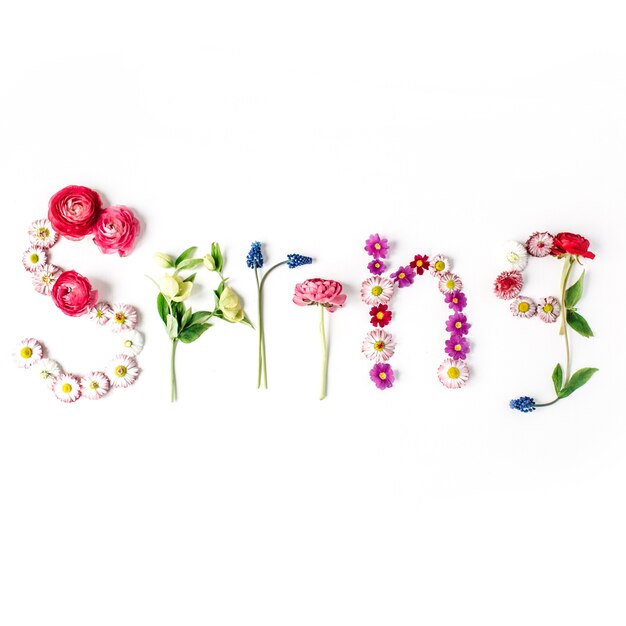 Word Spring made of flowers