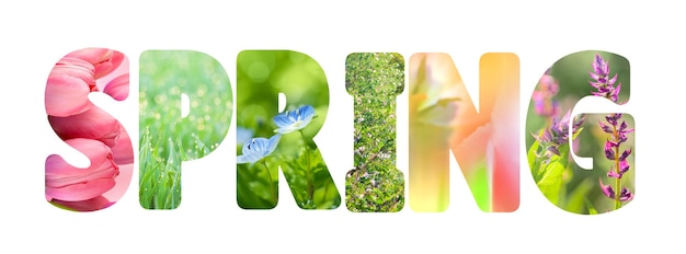 Word Spring with colorful nature images inside the letters fresh grass and flowers photos on white background horizontal