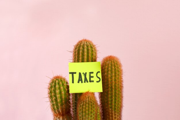 The word Taxes on a prickly cactus on pink 