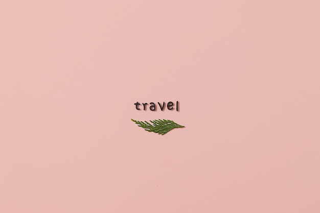 Photo word travel spelled with black letters and a green leaf or a christmas branch on a pastel pink background. minimal flat lay with copy space.