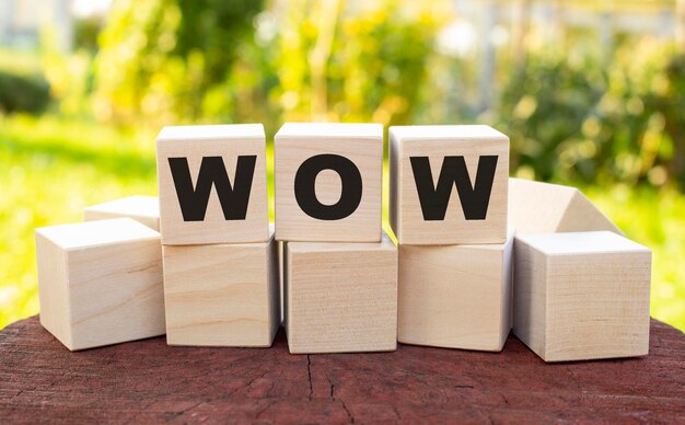 The word WOW is made up of wooden cubes lying on an old tree stump against a blurred garden background