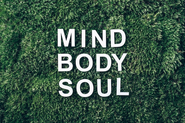 Words Body mind spirit and soul on moss green grass background Top view Copy space Banner Biophilia concept Nature backdrop Work Life Balance concept