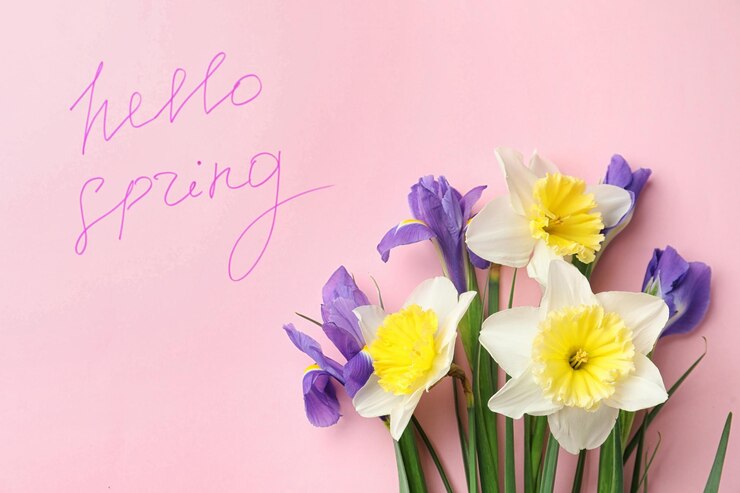 Фотография слова hello spring и свежие цветы на розовом фоне плоско лежали