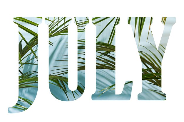 Words July made of palm leaves on blue scene. summer months