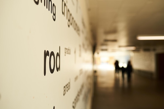 Words on a wall at a school hallway