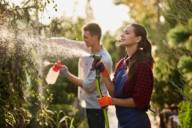 庭の仕事。晴れた日には、庭師の女の子が水を噴霧し、男が美しい苗床の植物に肥料を噴霧します。 。