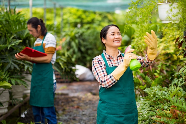 Work in the greenhouse