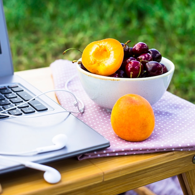 Work on a laptop on a picnic in nature - next to a bowl of cherries and apricots
