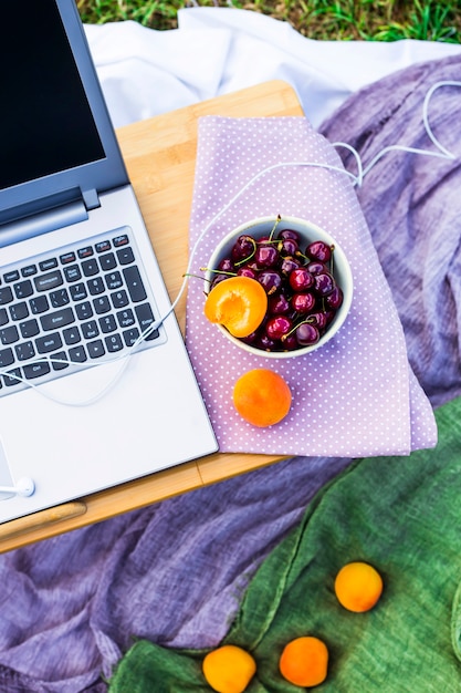 Work on a laptop on a picnic in nature - next to a bowl of cherries and apricots