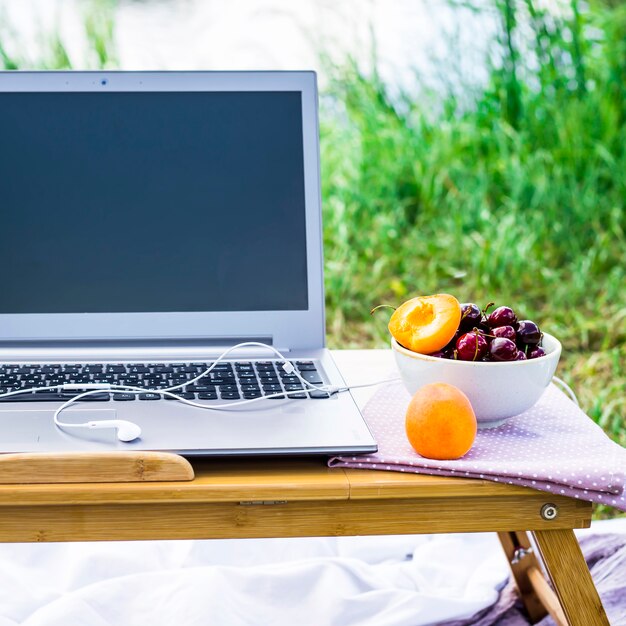 Work on a laptop on a picnic in nature - next to a bowl of cherries and apricots