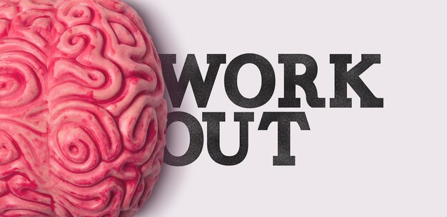 Work out word next to a human brain model