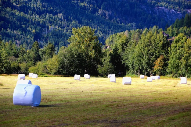 Worked field image of a productive field between the mountains