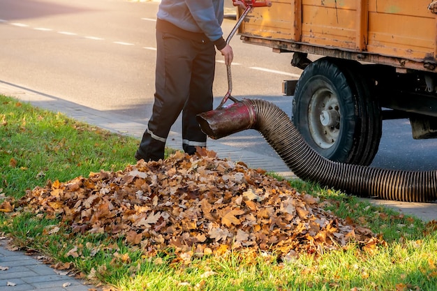 Worker clearing up the leaves using a leaf blower tool