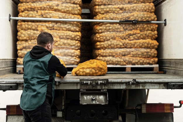 Worker loads potatoes into a truck clean potatoes in bags stacked in the car and waiting to be sent man shifts a bag with potatoes vegetable delivery service